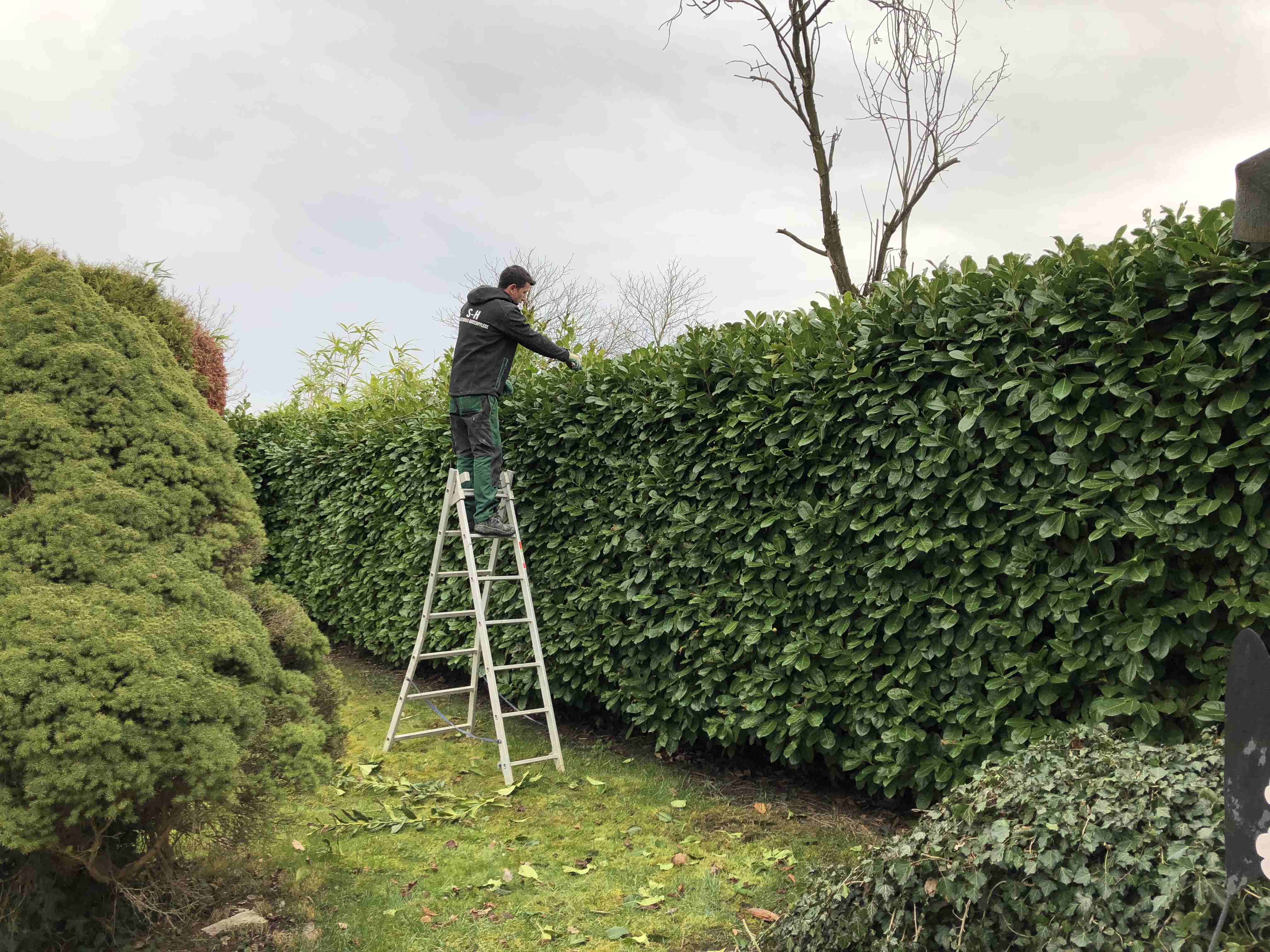 Gartenpflege