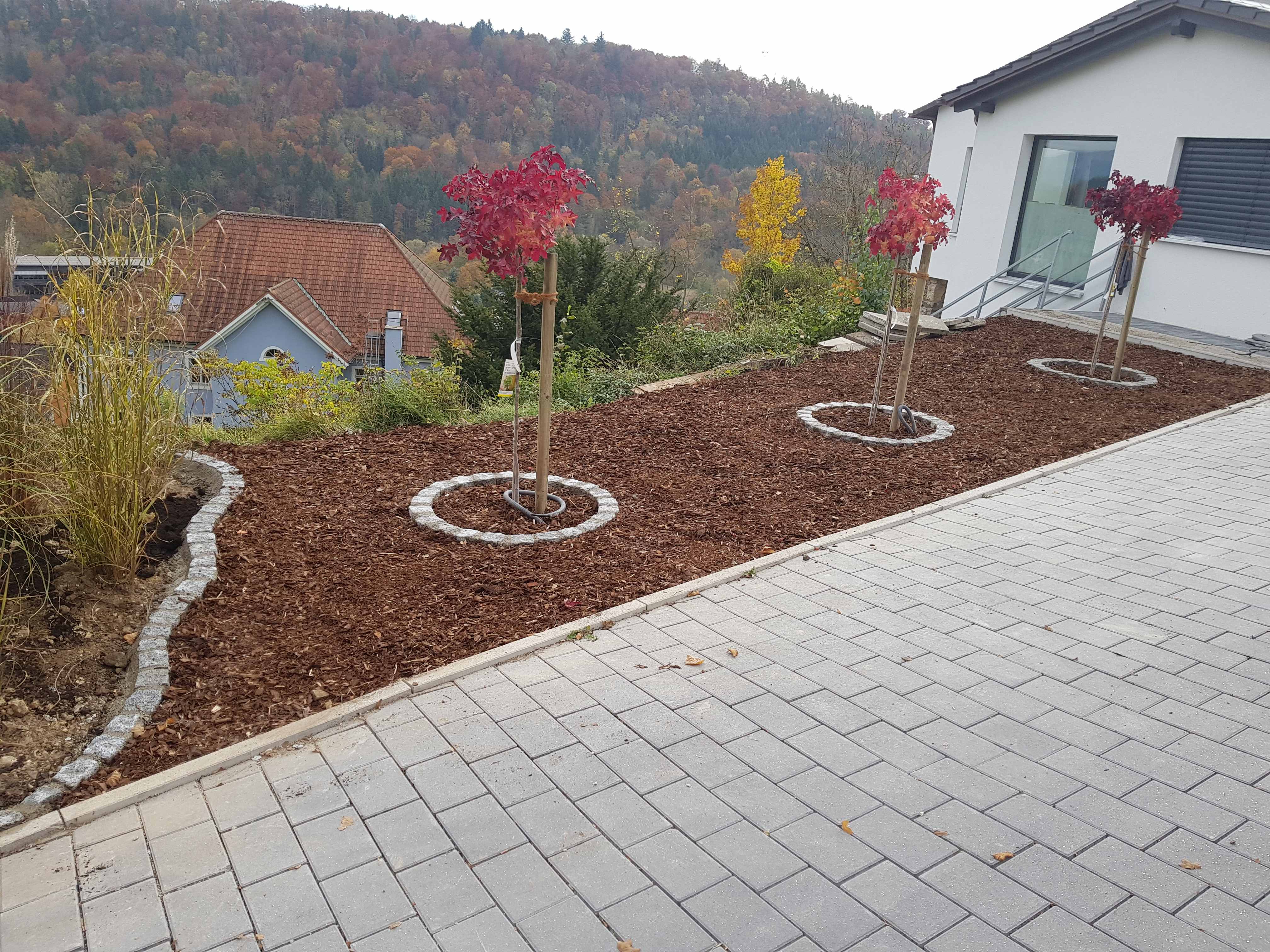 Pflanzungen